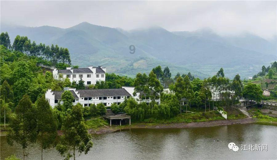 如何排八字大运流年游戏画面