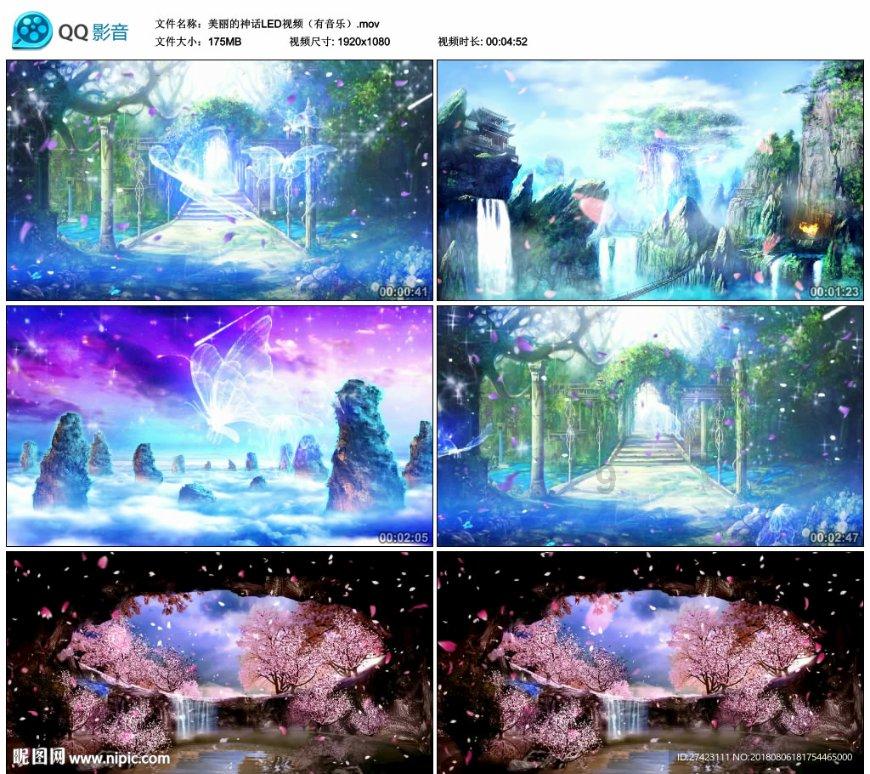 重生之玫瑰豪门